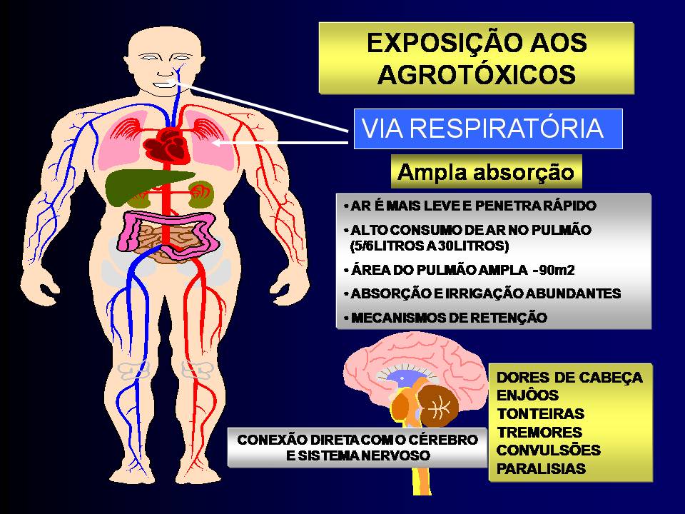 Toxicologia: Estudando bem os venenos - Blog